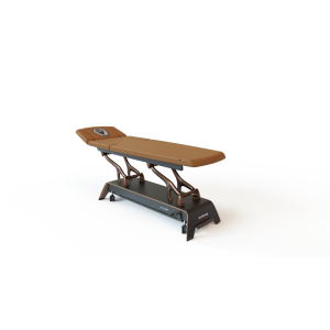 Stół do masażu i rehabilitacji Gymna.PRO D6 w brązowej tapicerce, z regulacją wysokości i oparcia.